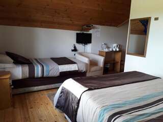 Отели типа «постель и завтрак» Melrose B&B Клонакилти Двухместный номер с 1 кроватью или 2 отдельными кроватями-6